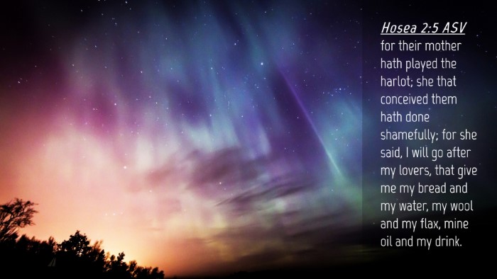 Picture 04 - Hosea 2:5 ASV Desktop Wallpaper - for their mother hath played the harlot; she that - Desktop Bible Verse Wallpaper