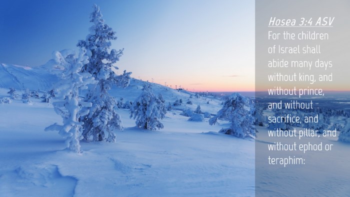 Picture 04 - Hosea 3:4 ASV Desktop Wallpaper - For the children of Israel shall abide many days - Desktop Bible Verse Wallpaper