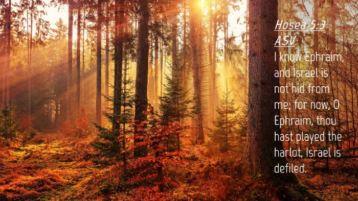 Picture 04 - Hosea 5:3 ASV Desktop Wallpaper - I know Ephraim, and Israel is not hid from me; - Desktop Bible Verse Wallpaper