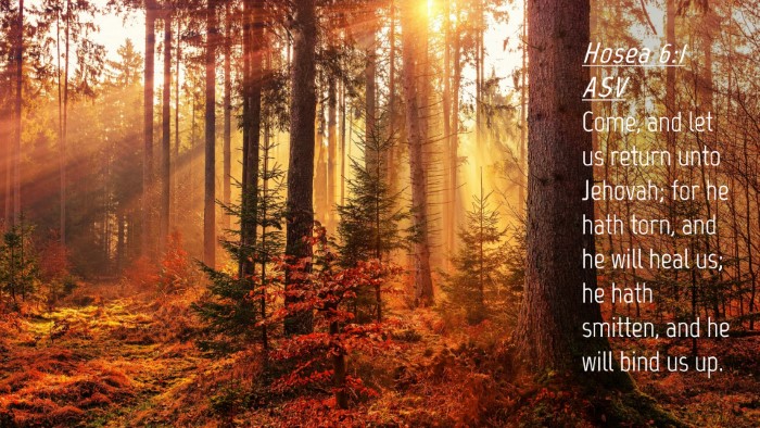Picture 04 - Hosea 6:1 ASV Desktop Wallpaper - Come, and let us return unto Jehovah; for he hath - Desktop Bible Verse Wallpaper