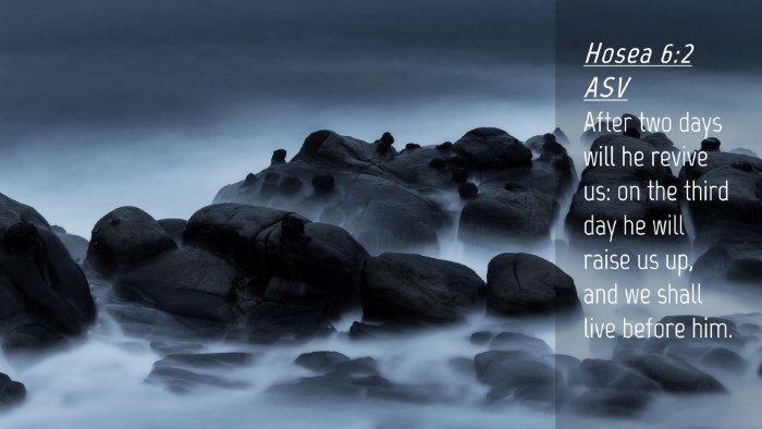 Picture 04 - Hosea 6:2 ASV Desktop Wallpaper - After two days will he revive us: on the third - Desktop Bible Verse Wallpaper