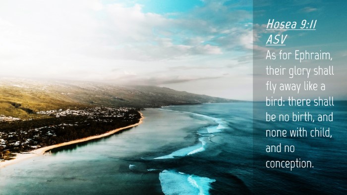 Picture 04 - Hosea 9:11 ASV Desktop Wallpaper - As for Ephraim, their glory shall fly away like a - Desktop Bible Verse Wallpaper