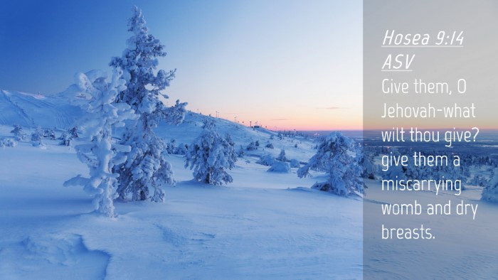 Picture 04 - Hosea 9:14 ASV Desktop Wallpaper - Give them, O Jehovah-what wilt thou give? give - Desktop Bible Verse Wallpaper
