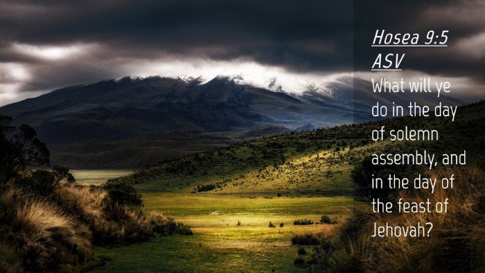 Picture 04 - Hosea 9:5 ASV Desktop Wallpaper - What will ye do in the day of solemn assembly, - Desktop Bible Verse Wallpaper