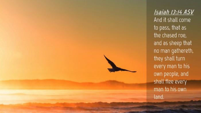 Picture 04 - Isaiah 13:14 ASV Desktop Wallpaper - And it shall come to pass, that as the chased - Desktop Bible Verse Wallpaper