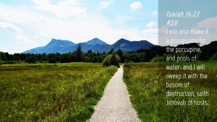 Picture 04 - Isaiah 14:23 ASV Desktop Wallpaper - I will also make it a possession for the - Desktop Bible Verse Wallpaper