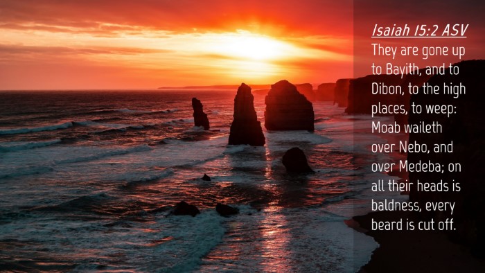 Picture 04 - Isaiah 15:2 ASV Desktop Wallpaper - They are gone up to Bayith, and to Dibon, to the - Desktop Bible Verse Wallpaper