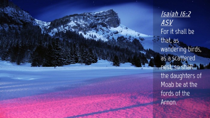 Picture 04 - Isaiah 16:2 ASV Desktop Wallpaper - For it shall be that, as wandering birds, as a - Desktop Bible Verse Wallpaper