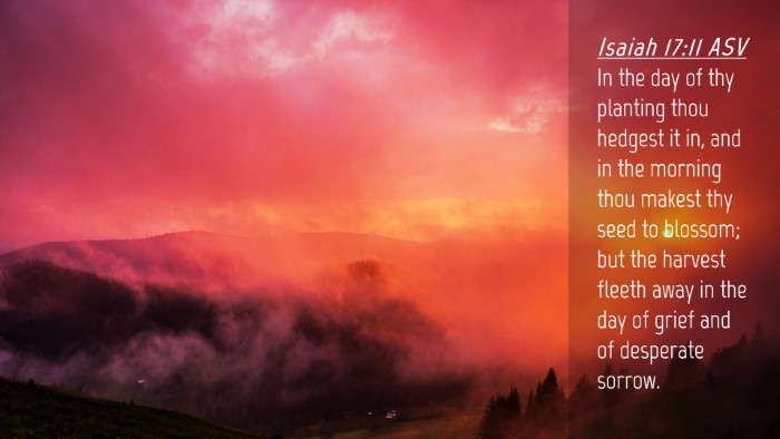 Picture 04 - Isaiah 17:11 ASV Desktop Wallpaper - In the day of thy planting thou hedgest it in, - Desktop Bible Verse Wallpaper