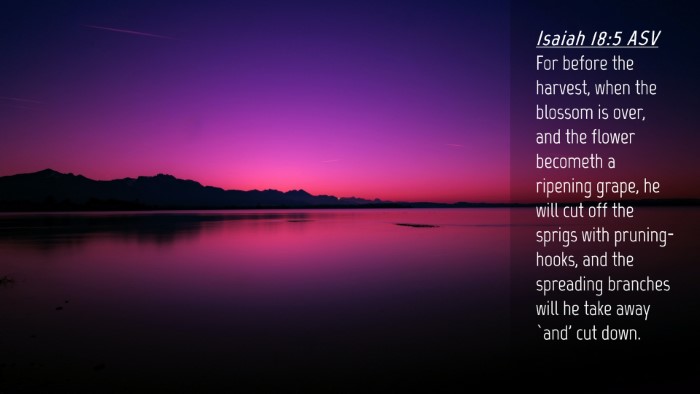 Picture 04 - Isaiah 18:5 ASV Desktop Wallpaper - For before the harvest, when the blossom is over, - Desktop Bible Verse Wallpaper