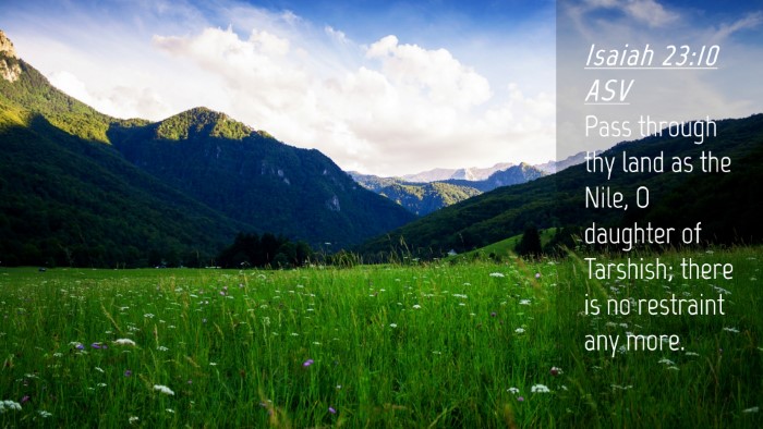 Picture 04 - Isaiah 23:10 ASV Desktop Wallpaper - Pass through thy land as the Nile, O daughter of - Desktop Bible Verse Wallpaper