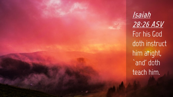 Picture 04 - Isaiah 28:26 ASV Desktop Wallpaper - For his God doth instruct him aright, `and' doth - Desktop Bible Verse Wallpaper