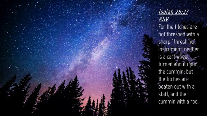 Picture 04 - Isaiah 28:27 ASV Desktop Wallpaper - For the fitches are not threshed with a sharp - Desktop Bible Verse Wallpaper
