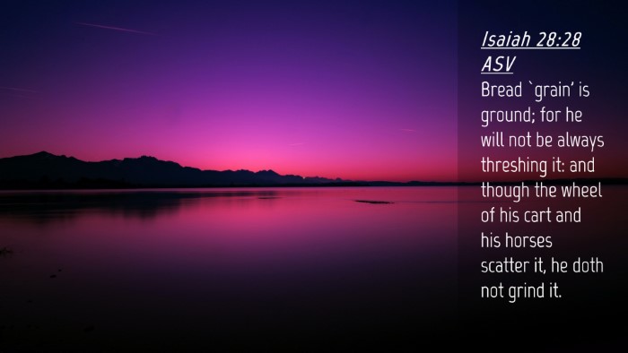 Picture 04 - Isaiah 28:28 ASV Desktop Wallpaper - Bread `grain' is ground; for he will not be - Desktop Bible Verse Wallpaper