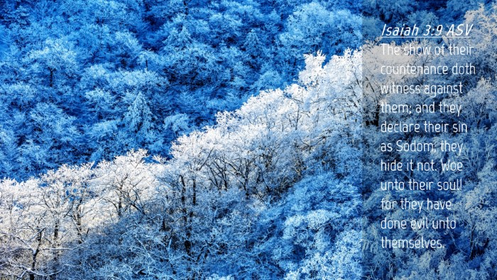 Picture 04 - Isaiah 3:9 ASV Desktop Wallpaper - The show of their countenance doth witness - Desktop Bible Verse Wallpaper