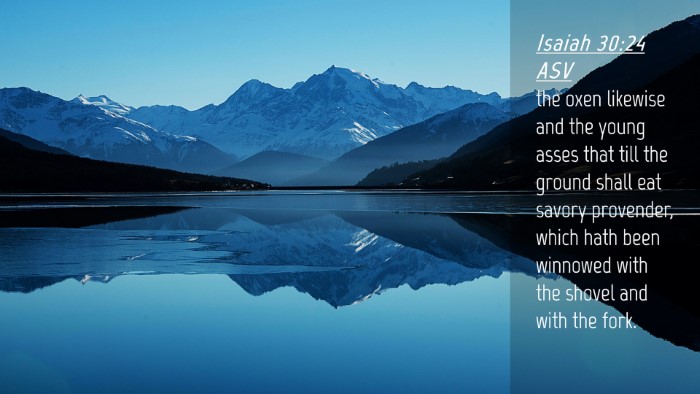 Picture 04 - Isaiah 30:24 ASV Desktop Wallpaper - the oxen likewise and the young asses that till - Desktop Bible Verse Wallpaper