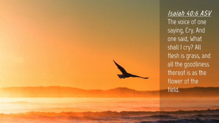 Picture 04 - Isaiah 40:6 ASV Desktop Wallpaper - The voice of one saying, Cry. And one said, What - Desktop Bible Verse Wallpaper
