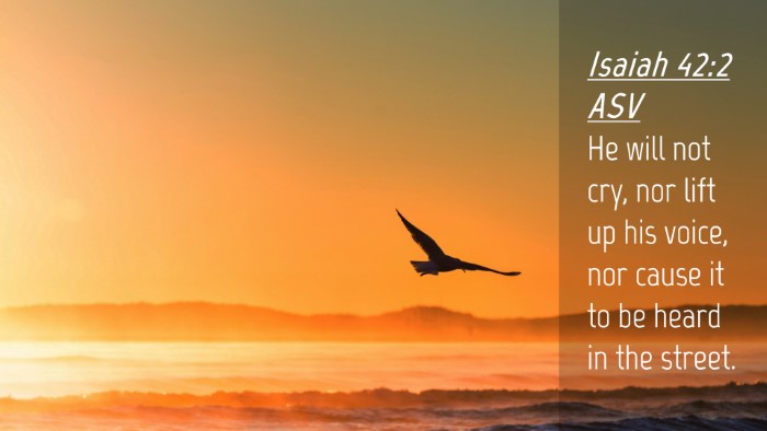 Picture 04 - Isaiah 42:2 ASV Desktop Wallpaper - He will not cry, nor lift up his voice, nor cause - Desktop Bible Verse Wallpaper