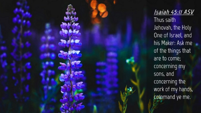 Picture 04 - Isaiah 45:11 ASV Desktop Wallpaper - Thus saith Jehovah, the Holy One of Israel, and - Desktop Bible Verse Wallpaper