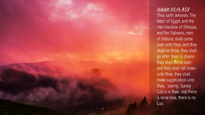 Picture 04 - Isaiah 45:14 ASV Desktop Wallpaper - Thus saith Jehovah, The labor of Egypt, and the - Desktop Bible Verse Wallpaper