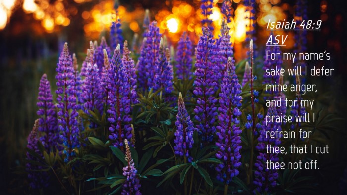 Picture 04 - Isaiah 48:9 ASV Desktop Wallpaper - For my name's sake will I defer mine anger, and - Desktop Bible Verse Wallpaper