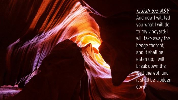 Picture 04 - Isaiah 5:5 ASV Desktop Wallpaper - And now I will tell you what I will do to my - Desktop Bible Verse Wallpaper