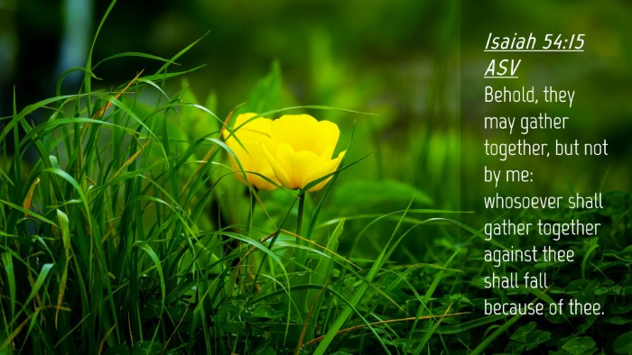 Picture 04 - Isaiah 54:15 ASV Desktop Wallpaper - Behold, they may gather together, but not by me: - Desktop Bible Verse Wallpaper