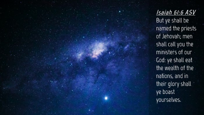Picture 04 - Isaiah 61:6 ASV Desktop Wallpaper - But ye shall be named the priests of Jehovah; men - Desktop Bible Verse Wallpaper