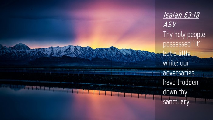 Picture 04 - Isaiah 63:18 ASV Desktop Wallpaper - Thy holy people possessed `it' but a little - Desktop Bible Verse Wallpaper
