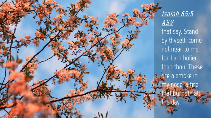 Picture 04 - Isaiah 65:5 ASV Desktop Wallpaper - that say, Stand by thyself, come not near to me, - Desktop Bible Verse Wallpaper