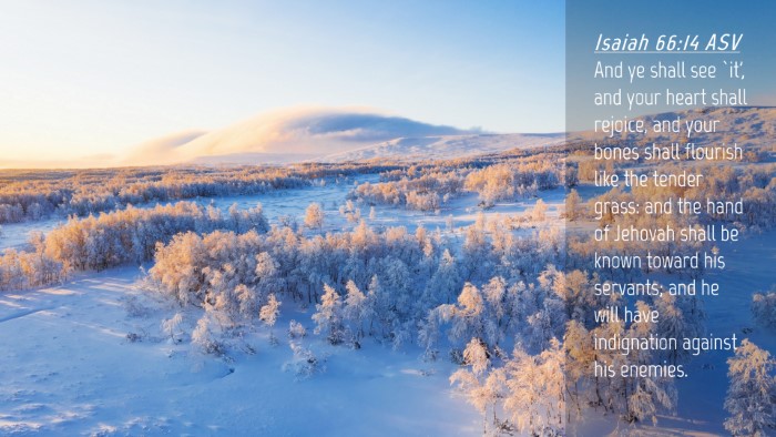 Picture 04 - Isaiah 66:14 ASV Desktop Wallpaper - And ye shall see `it', and your heart shall - Desktop Bible Verse Wallpaper