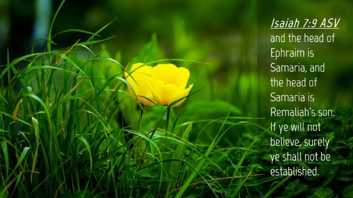 Picture 04 - Isaiah 7:9 ASV Desktop Wallpaper - and the head of Ephraim is Samaria, and the head - Desktop Bible Verse Wallpaper