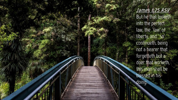 Picture 04 - James 1:25 ASV Desktop Wallpaper - But he that looketh into the perfect law, the - Desktop Bible Verse Wallpaper