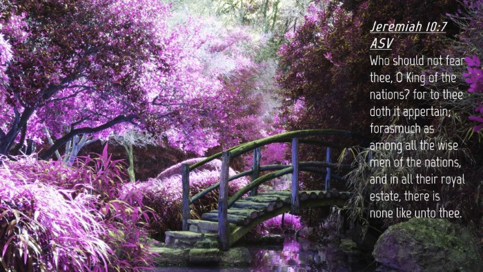 Picture 04 - Jeremiah 10:7 ASV Desktop Wallpaper - Who should not fear thee, O King of the nations? - Desktop Bible Verse Wallpaper