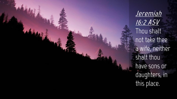 Picture 04 - Jeremiah 16:2 ASV Desktop Wallpaper - Thou shalt not take thee a wife, neither shalt - Desktop Bible Verse Wallpaper