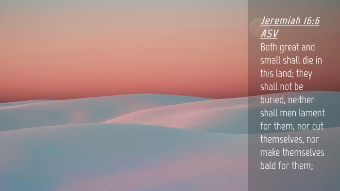 Picture 04 - Jeremiah 16:6 ASV Desktop Wallpaper - Both great and small shall die in this land; they - Desktop Bible Verse Wallpaper
