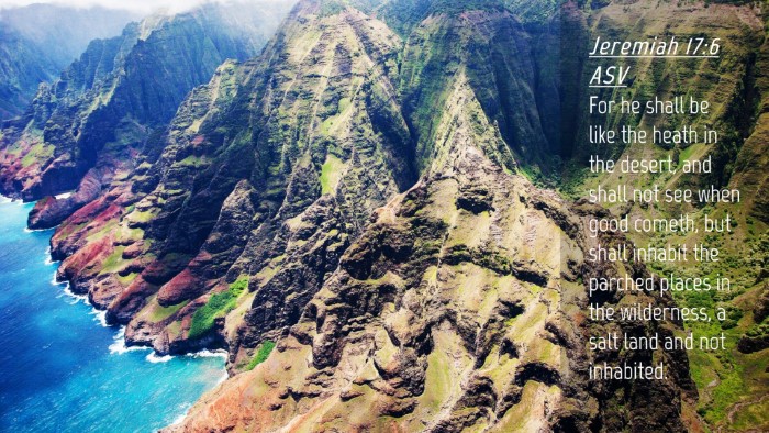 Picture 04 - Jeremiah 17:6 ASV Desktop Wallpaper - For he shall be like the heath in the desert, and - Desktop Bible Verse Wallpaper