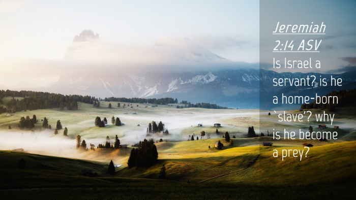 Picture 04 - Jeremiah 2:14 ASV Desktop Wallpaper - Is Israel a servant? is he a home-born `slave'? - Desktop Bible Verse Wallpaper