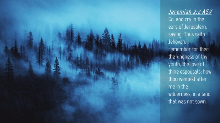 Picture 04 - Jeremiah 2:2 ASV Desktop Wallpaper - Go, and cry in the ears of Jerusalem, saying, - Desktop Bible Verse Wallpaper