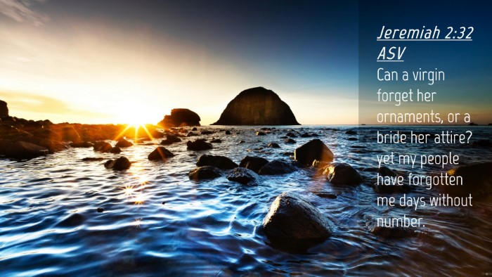 Picture 04 - Jeremiah 2:32 ASV Desktop Wallpaper - Can a virgin forget her ornaments, or a bride her - Desktop Bible Verse Wallpaper