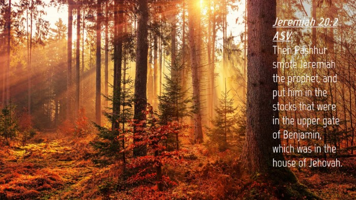 Picture 04 - Jeremiah 20:2 ASV Desktop Wallpaper - Then Pashhur smote Jeremiah the prophet, and put - Desktop Bible Verse Wallpaper