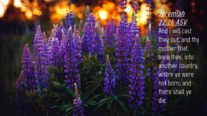Picture 04 - Jeremiah 22:26 ASV Desktop Wallpaper - And I will cast thee out, and thy mother that - Desktop Bible Verse Wallpaper