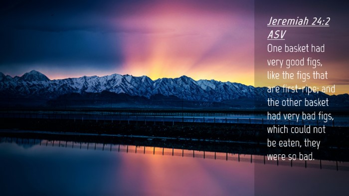 Picture 04 - Jeremiah 24:2 ASV Desktop Wallpaper - One basket had very good figs, like the figs that - Desktop Bible Verse Wallpaper