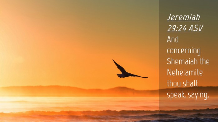 Picture 04 - Jeremiah 29:24 ASV Desktop Wallpaper - And concerning Shemaiah the Nehelamite thou shalt - Desktop Bible Verse Wallpaper