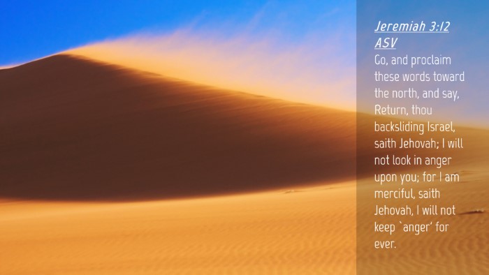 Picture 04 - Jeremiah 3:12 ASV Desktop Wallpaper - Go, and proclaim these words toward the north, - Desktop Bible Verse Wallpaper