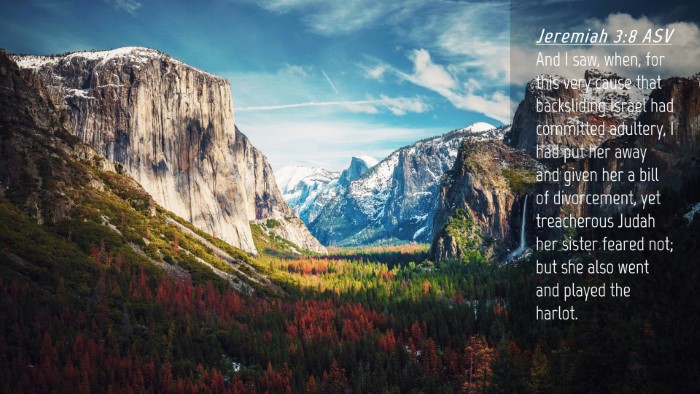 Picture 04 - Jeremiah 3:8 ASV Desktop Wallpaper - And I saw, when, for this very cause that - Desktop Bible Verse Wallpaper