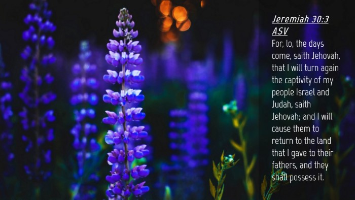 Picture 04 - Jeremiah 30:3 ASV Desktop Wallpaper - For, lo, the days come, saith Jehovah, that I - Desktop Bible Verse Wallpaper