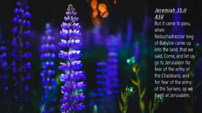 Picture 04 - Jeremiah 35:11 ASV Desktop Wallpaper - But it came to pass, when Nebuchadrezzar king of - Desktop Bible Verse Wallpaper