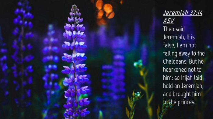 Picture 04 - Jeremiah 37:14 ASV Desktop Wallpaper - Then said Jeremiah, It is false; I am not falling - Desktop Bible Verse Wallpaper