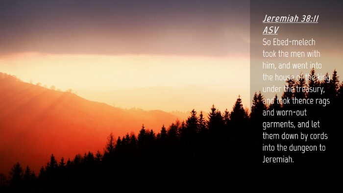 Picture 04 - Jeremiah 38:11 ASV Desktop Wallpaper - So Ebed-melech took the men with him, and went - Desktop Bible Verse Wallpaper